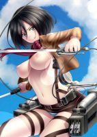 attack_on_titan_-_mikasa_20130914_107.jpg